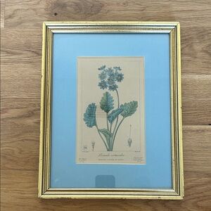 Framed Botanical Print with Gold Frame